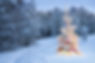 weihnachtsbaum-schnee-Seliger.jpg