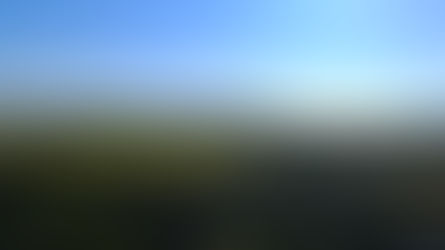 Tag 1: Überlebt
