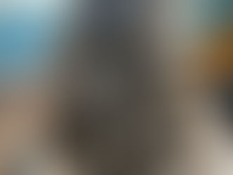 Want to be Curl Famous???