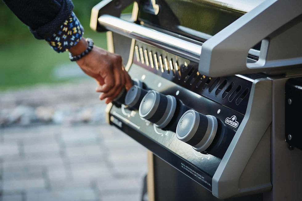 Miniatura: Parrilla a Gas Napoleon Rogue 425