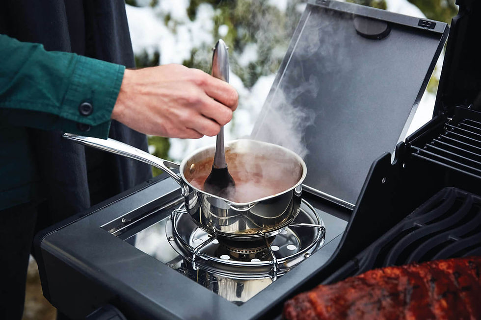 Miniatura: Parrilla a Gas Napoleon Freestyle 365 SB