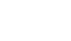 Devon de Koker Consultancy_logo_white.png