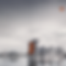 Group 4577 (3).png