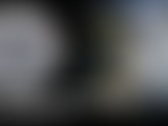 Golden Retriever - Dog Training | Piper | Costa Mesa, CA