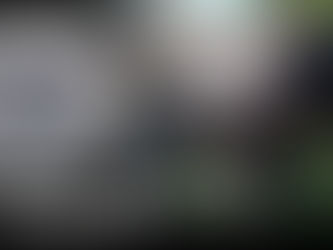 Standard Poodle - Dog Training | Iceland | Los Angeles, CA