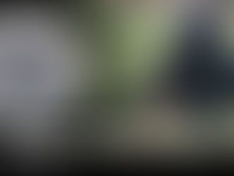 Belgian Malinois/ Lab Mix - Dog Training | Roma | Valencia, CA