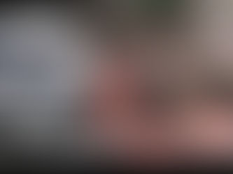 Ringo | Dutch Shepherd / Pitbull Mix Dog Training | Los Angeles, CA