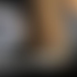 Belgian Malinois Dog Training | Havoc | Northridge, CA