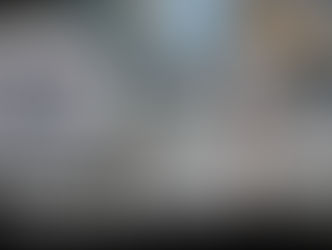 Lagotto Romagnolo - Dog Training | Gio | Los Angeles, CA