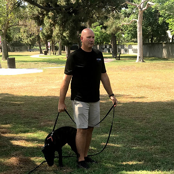OffLeash SoCal Dog Trainer - Michael Dark
