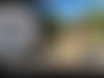 Long Haired German Shepherd - Dog Training | Thor | La Canada, CA