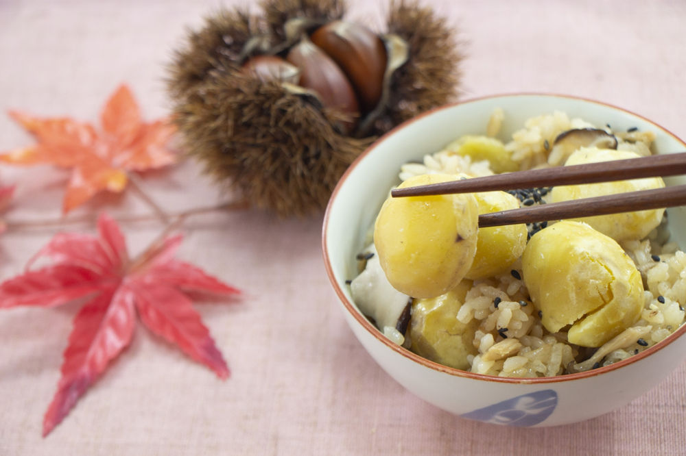 Kuri The Japanese Chestnut