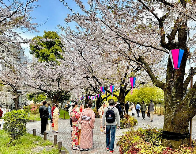 sumida park tokyo kimono