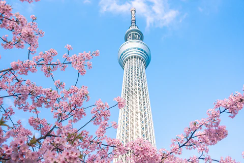 tokyo skytree