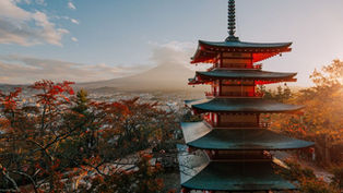 A Practical Guide to Plus Size Japan Travel: Tips, Restrictions, and Comfortable Sightseeing