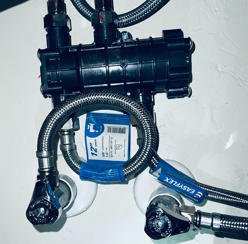 IMG_9448 (1)_edited.jpg