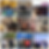 photo-collage.png (1).png