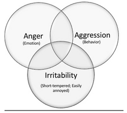Venn Diagram - Anger, Aggression, and Irritability