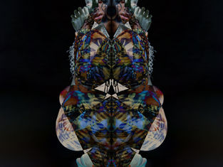 KALEIDOSCOPE