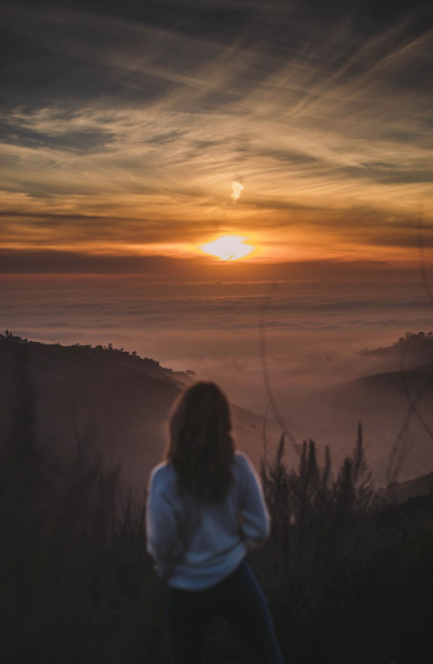 All the Stars Reveal Themselves