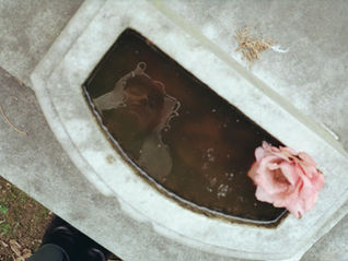 Woman in Veil Reflection in Veil Water