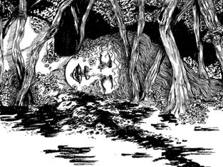 Finding community within