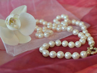 A Ruby Pearl