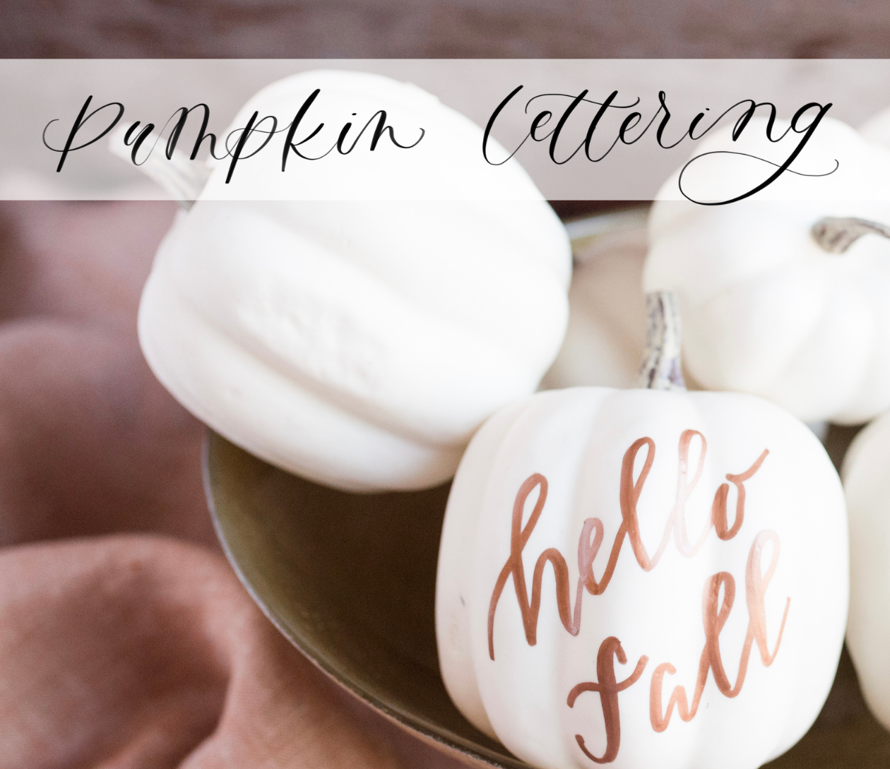 Beginner Pointed Pen Calligraphy and Pumpkin Lettering at Tavern on 6