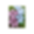 Thumbnail: Crochet Lily