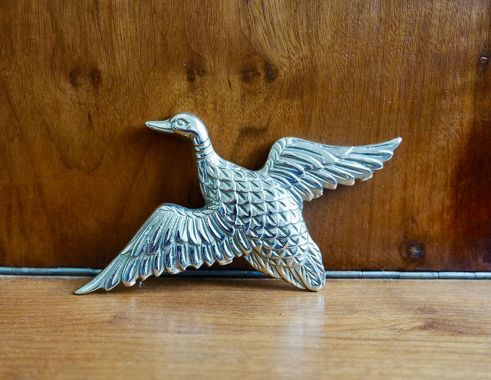 Thumbnail: Trio of Flying Brass Ducks