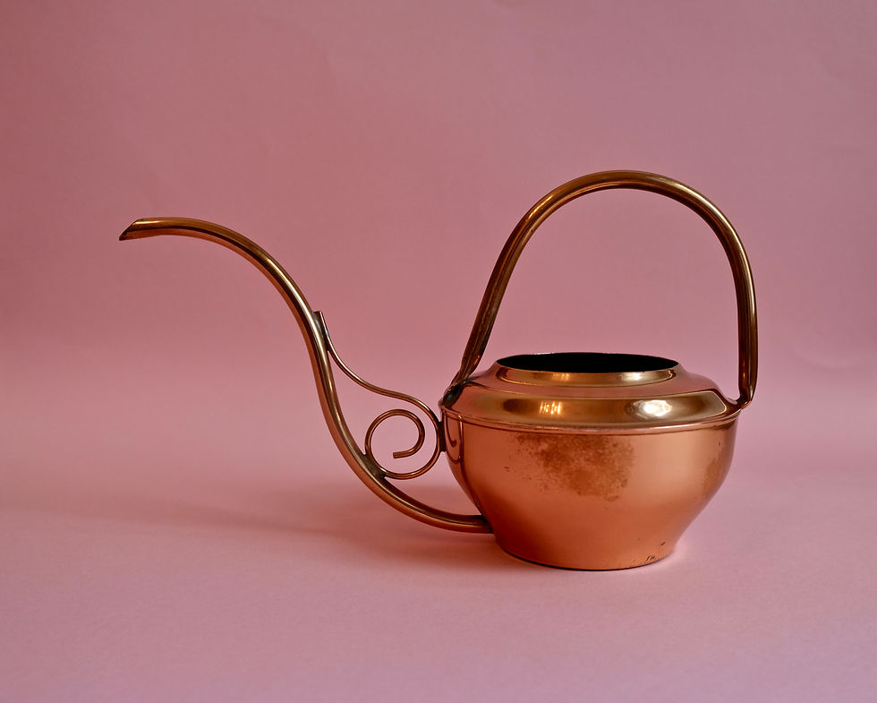 Thumbnail: Copper Watering Cans
