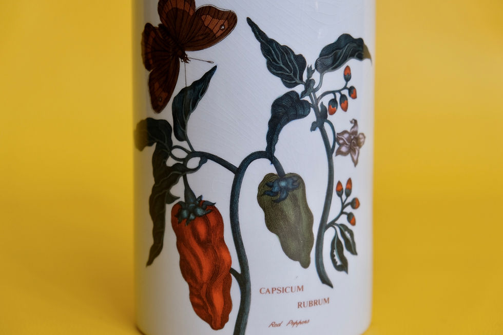 Thumbnail: Porthmeirion Canisters (Pair)