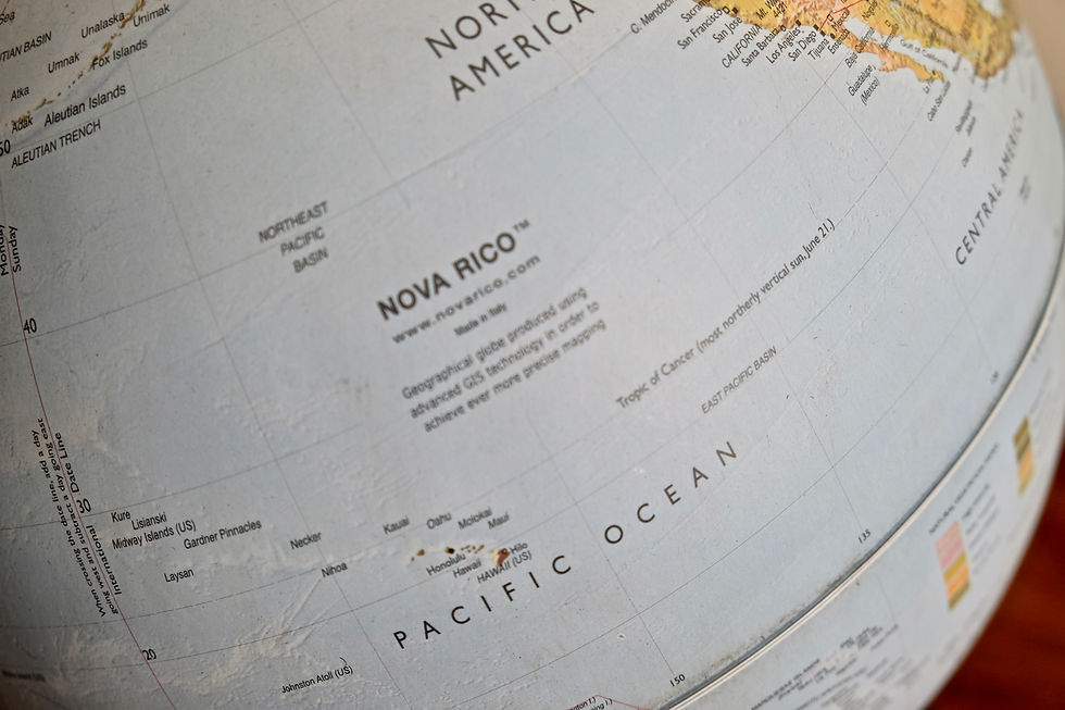 Thumbnail: Contemporary Nova Rico World Globe