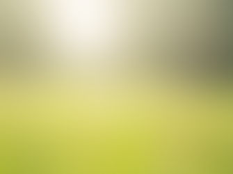 所有患者必須遵守事項 Patients are required to adhere to the following guidelines: