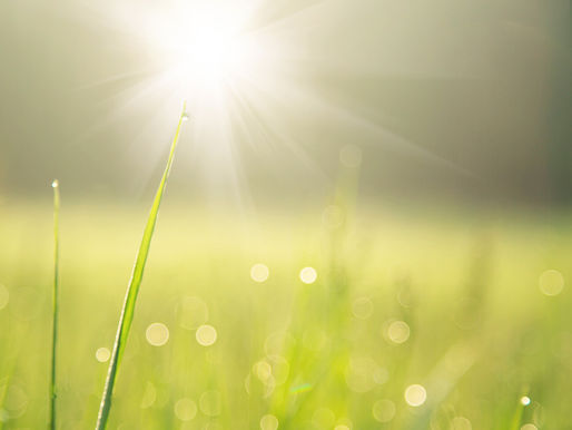 Morning Meeting With God