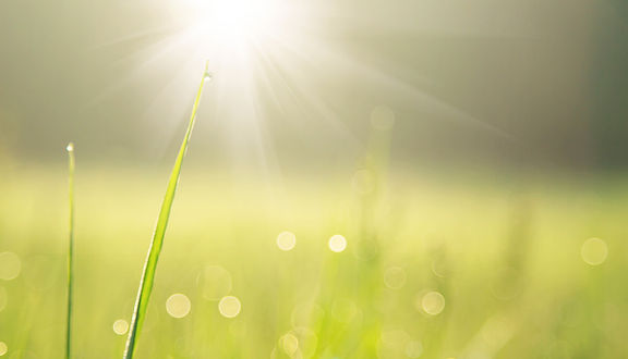 Overcome limiting core beliefs