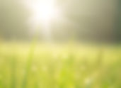 June 20, 2025 - 1 Samuel 12:24 - "True Worship"