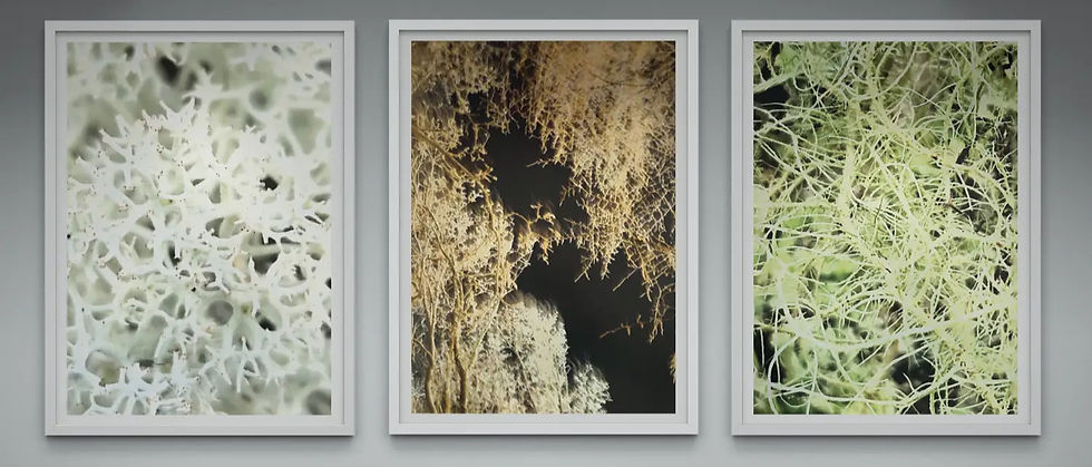 mixed media art collage