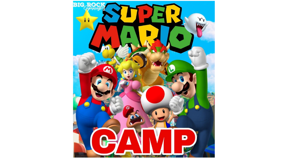 Super Mario Game On! Adventure Camp