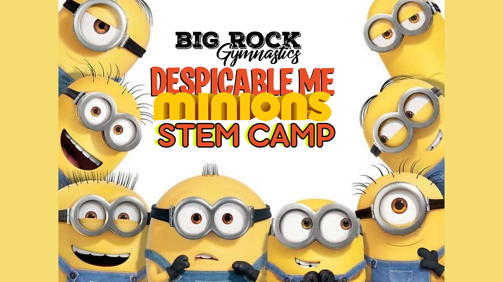 Despicable Me STEM Camp