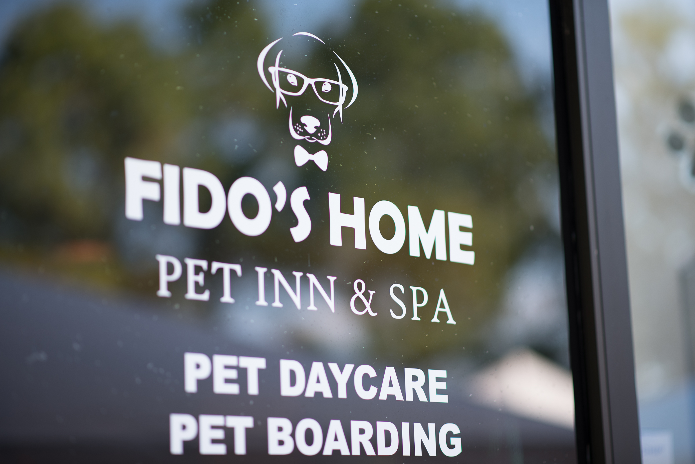 Home Fidos Home Pet Grooming Pet Boarding Katy, TX