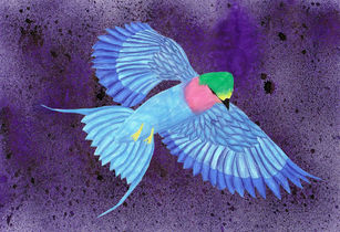 Atelier de peinture et cours de dessin sur le thème du vol des oiseaux