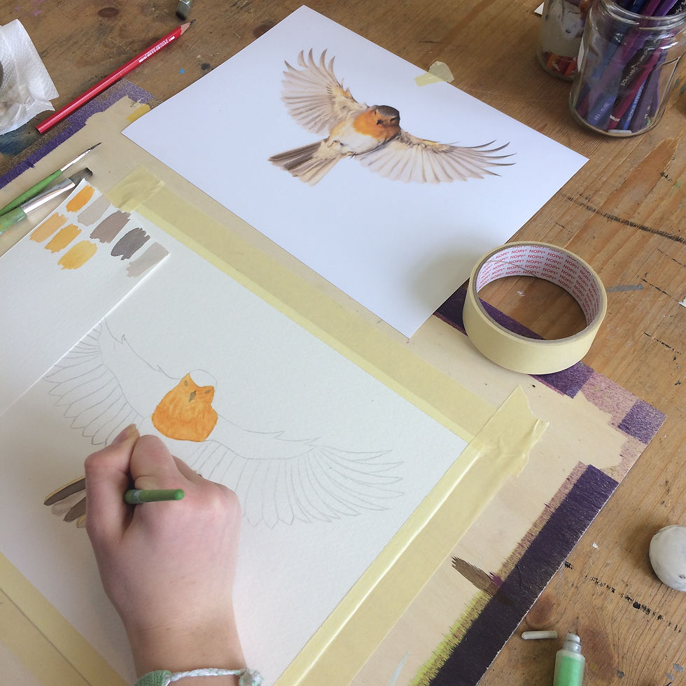 atelier aquarelle