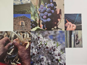 Museu da Seda e do Território