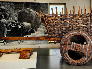 MUSEU DO LINHO DE VÁRZEA DE CALDE