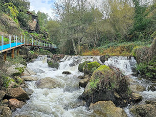 Os Passadiços Coloridos do Trilho dos Gaios