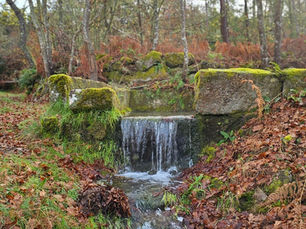 O Homem e a Natureza