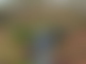 O Homem e a Natureza