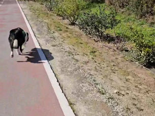 Iniciámos a preparação para os Caminhos de Santiago e Fátima 2024