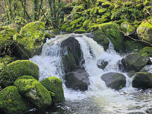 Trilho da Água - Vouzela